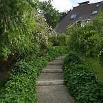 Hotel Niedersachsen Hof