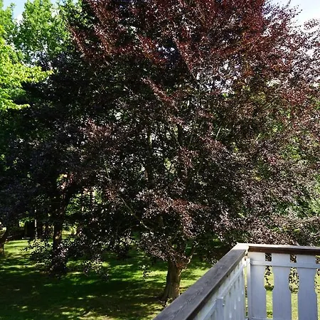 Niedersachsen Hof Ξενοδοχείο