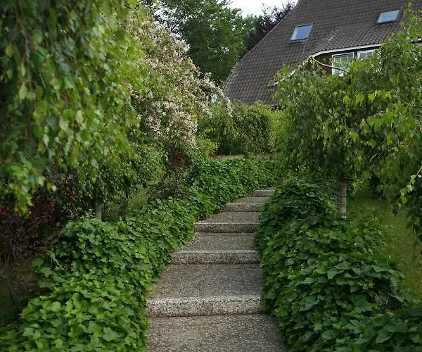 酒店 萨克森州霍夫酒店