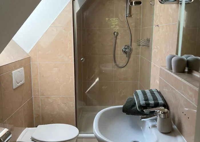 萨克森州霍夫酒店 2*